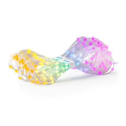 Govee - RGBIC Kardinavalgustus 520 LED 1,5x2m Wi-Fi IP65