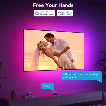 Govee - TV 40-50 nutikas LED taustavalgus RGBIC Wi-Fi