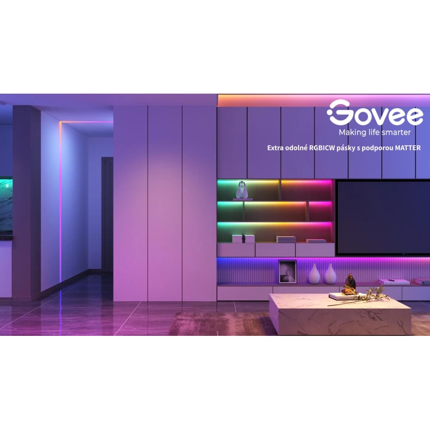 Govee - Wi-Fi RGBICW Smart PRO LED Valgusriba 10m MATTER - väga vastupidav