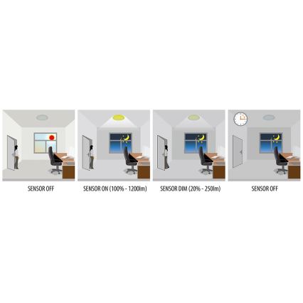 Greenlux GXPR081 - LED Tööstuslik valgusti anduriga RENO PROFI LED/16W/230V IP66 4000K