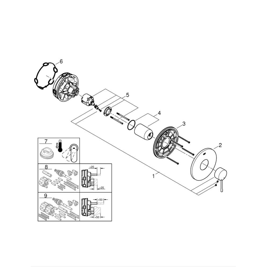 GROHE 24057GN1 - dušisegisti ESSENCE, kuldne