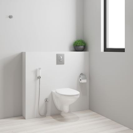 GROHE 26356IL0 - käeshoitav bidetsuihk TEMPESTA-F 30 1250 mm valge