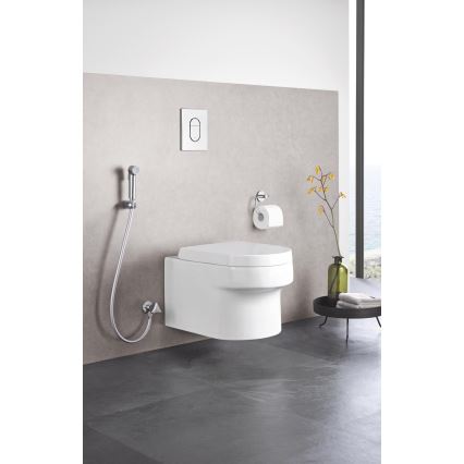 GROHE 27514001 - Käeshoitav bideepihusti TEMPESTA-F TRIGGER SPRAY 30 36 mm kroom