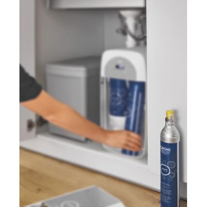 GROHE 40422000 - GROHE BLUE CO2-silinder 425 g (4 tk), roostevabast terasest