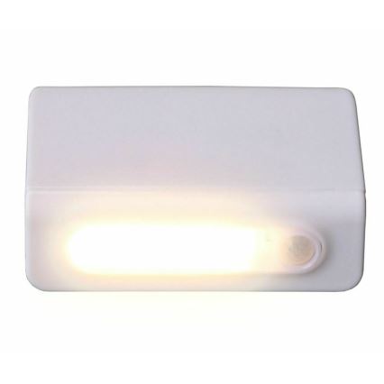 Grundig - LED Öövalgusti anduriga LED/3xAAA