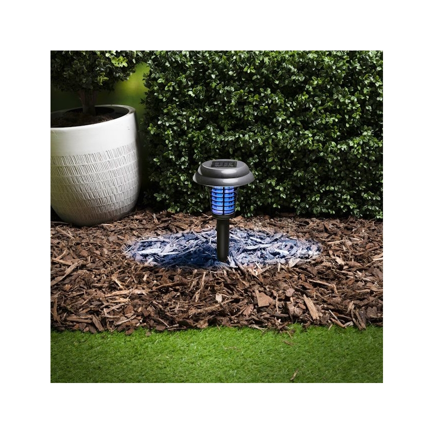 Grundig - LED päikeselamp ja putukapüünis UV LED/1xAA 600 mAh IPX4