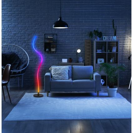 Grundig - LED RGB Hämardatav põrandalamp LED/5W/5V + kaugjuhtimispult
