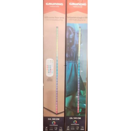 Grundig - LED RGBW hämardatav põrandalamp LED/6W/230V + kaugjuhtimispult