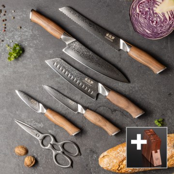 Gudaro - 5-osaline damaskterasest kööginugade komplekt TAKUMI + nugade ja kanakääride hoidik