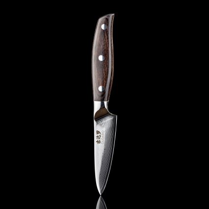Gudaro - damaskterasest kööginuga SHIRO 3,5, 67-kihiline teras, tera pikkus 9,5 cm
