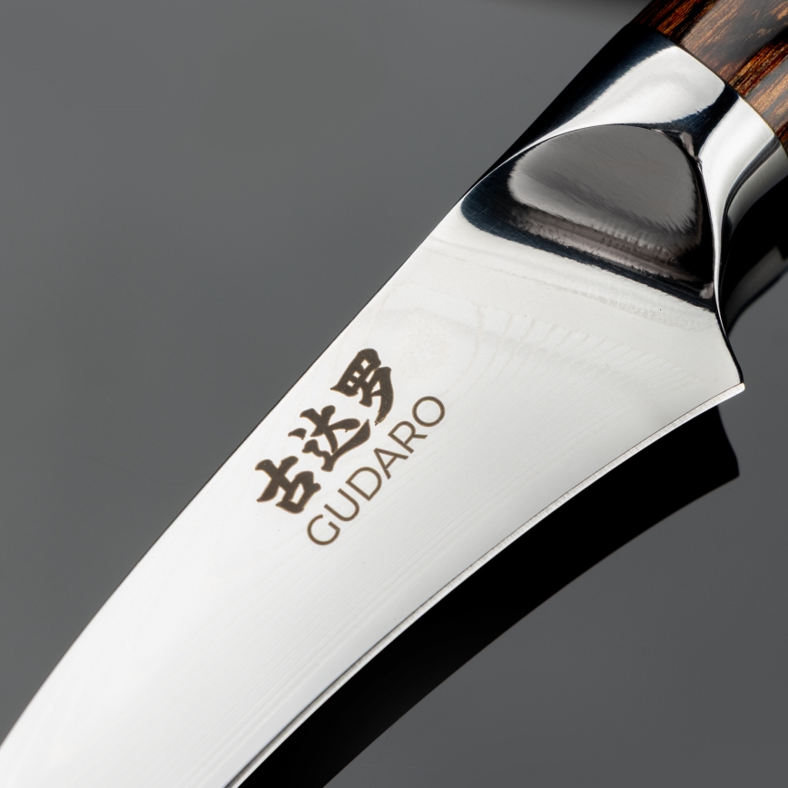 Gudaro -Damaskusest puuviljanuga FENG 3,5, 67-kihiline teras, pikkus 9,5cm