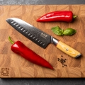 Gudaro - Damaskusest Santoku kööginuga HIKARI 7
