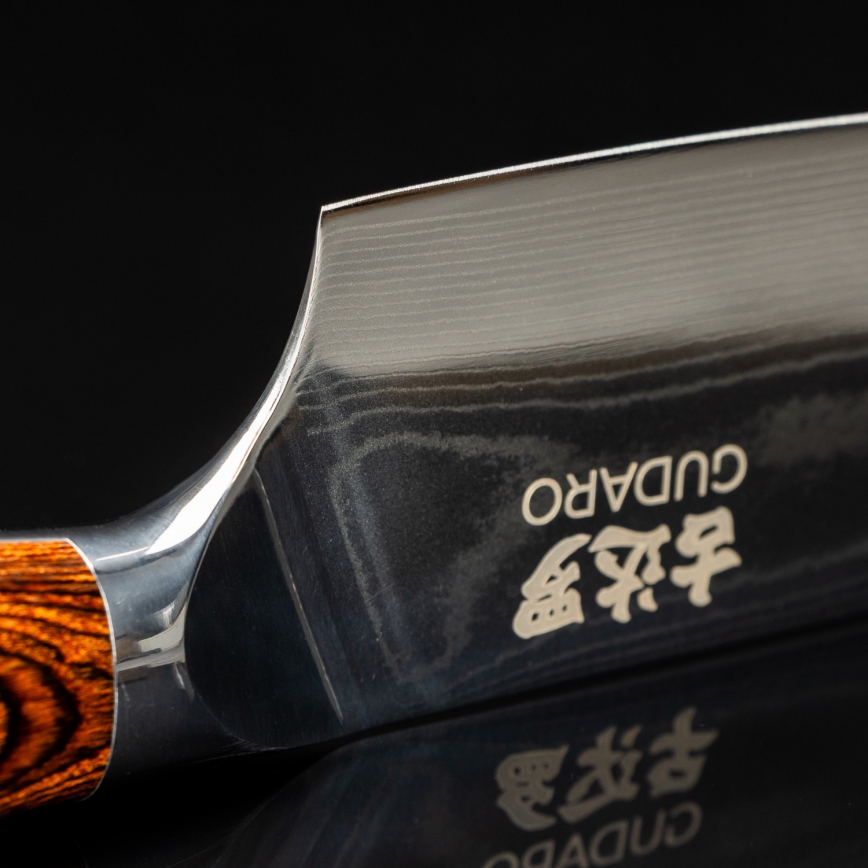 Gudaro - Damaskusest šefinuga FENG 8, 67-kihiline teras, pikkus 20 cm