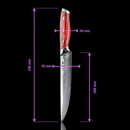 Gudaro - KENSHO 8 damaskusest portsjoninuga, 67 terasekihti, pikkus 20 cm