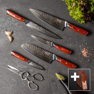 Gudaro-komplekt 5x damaskterasest kööginuga MIYABI + nugade ja kanakääride hoidik
