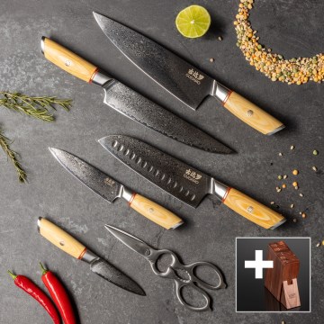 Gudaro – komplekt: 5× damaskterasest kööknuga HIKARI + nugade ja linnukääride hoidik