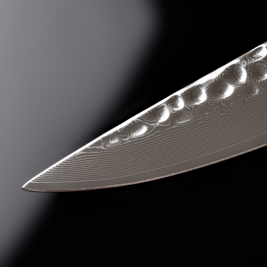 Gudaro - MIYABI 8 67-kihiline damaskterasest portsjoninuga, pikkus 20 cm