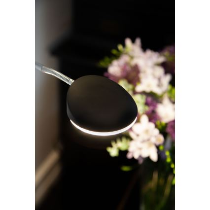 Halo Design 716067 - hämardatav LED-põrandalamp VEGAS LED/20W/230V + LED/5W must/läikiv kroom