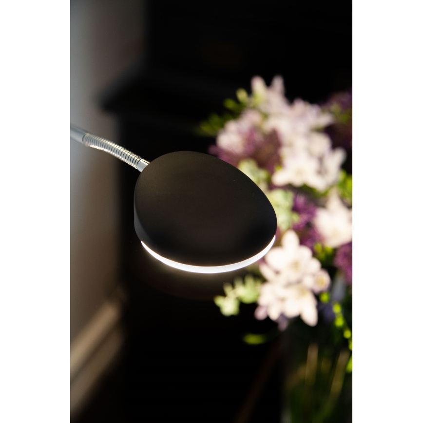 Halo Design 716067 - hämardatav LED-põrandalamp VEGAS LED/20W/230V + LED/5W must/läikiv kroom