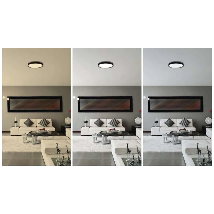 Hämardatav LED-laelamp ILVI LED/30W/230V 2700-6500K, läbimõõt 40 cm, must/messing + kaugjuhtimispult