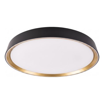 Hämardatav LED-laelamp ILVI LED/45W/230V 2700-6500K läbimõõt 50 cm must/beež + kaugjuhtimispult