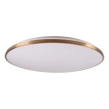 Hämardatav LED-laelamp KERN LED/100W/230V 3000/4000/6000K, läbimõõt 100 cm, kuldne + kaugjuhtimispult