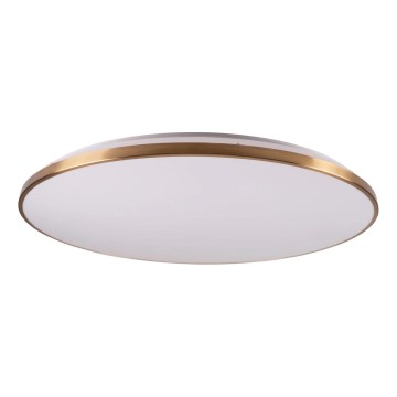 Hämardatav LED-laelamp KERN LED/80W/230V 3000/4000/6000K ø 80 cm kuldne + kaugjuhtimispult