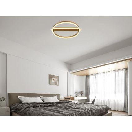 Hämardatav LED-laelamp LED/60W/230V 3000-6500K + kaugjuhtimispuldiga