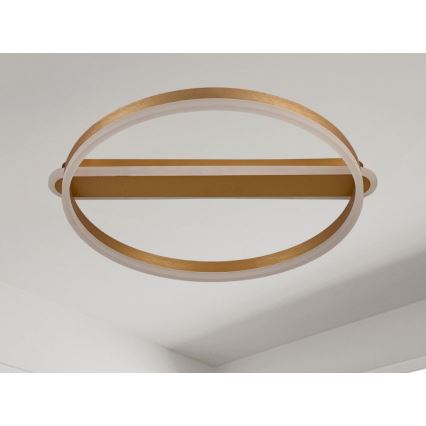Hämardatav LED-laelamp LED/60W/230V 3000-6500K + kaugjuhtimispuldiga