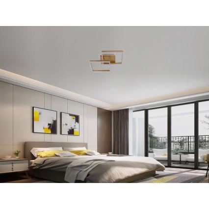 Hämardatav LED-laelamp LED/80W/230V 3000-6500K + kaugjuhtimispult