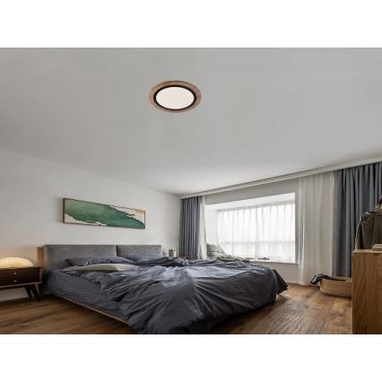 Hämardatav LED-laevalgusti LED/25W/230V 3000-6500K + kaugjuhtimispult