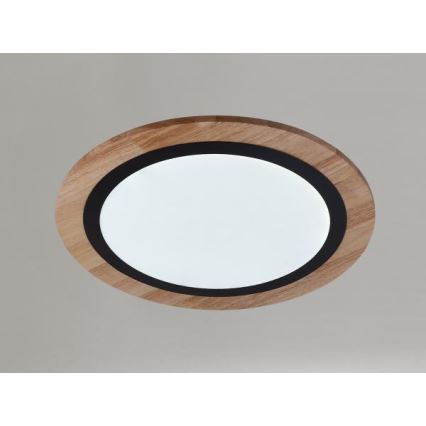 Hämardatav LED-laevalgusti LED/25W/230V 3000-6500K + kaugjuhtimispult