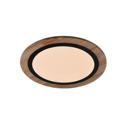 Hämardatav LED-laevalgusti LED/25W/230V 3000-6500K + kaugjuhtimispult