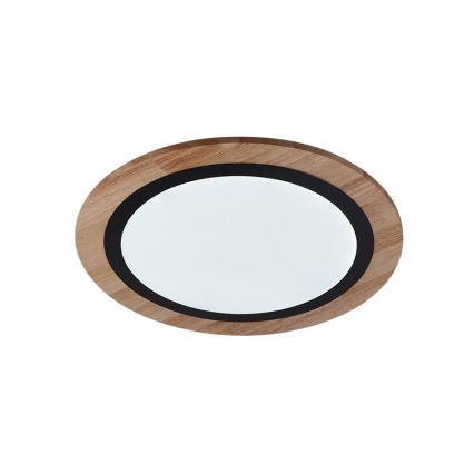 Hämardatav LED-laevalgusti LED/25W/230V 3000-6500K + kaugjuhtimispult