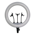 Hämardatav LED-lamp koos statiiviga ja hoidikuga vlogimiseks LED/55W/230V CRI 90 + kaugjuhtimispult