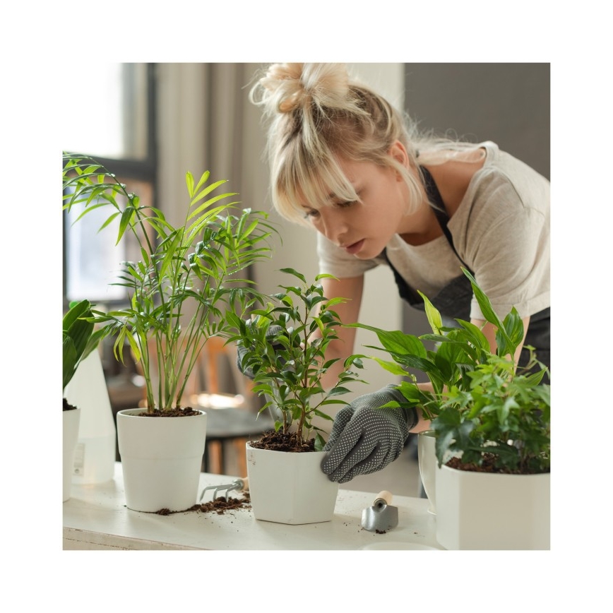 LED hämardatav laualamp taimede kasvatamiseks VERDI LED/12W/230V 4500K CRI 95 valge