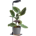 Hämardatav LED laualamp taimede kasvatamiseks VERDI LED/5W/5V 1300K CRI 95 must