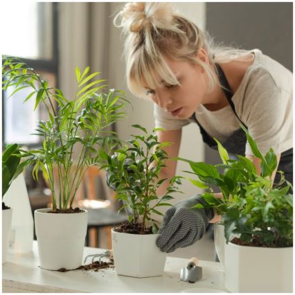 VERDI LED hämardatav lauavalgusti taimekasvatuseks, LED/5W/5V, 1300K, CRI 95, valge