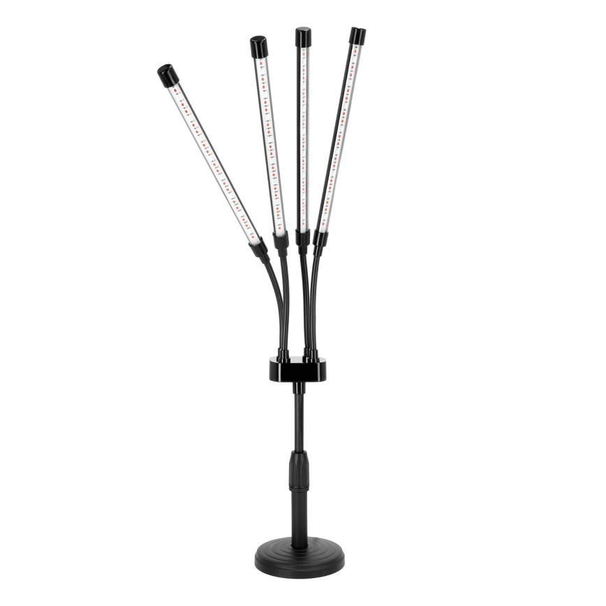 Hämardatav painduv LED-lauavalgusti taimede kasvatamiseks VITARO 4xLED/10W/230V must