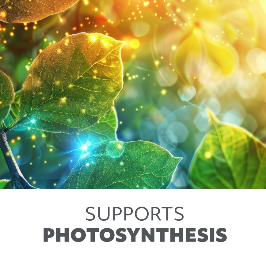 Hämardatav painduv LED-lauavalgusti taimede kasvatamiseks VITARO 4xLED/10W/230V must