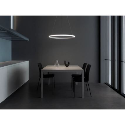 Hämardatav LED-rippvalgusti kaablil LED/55W/230V 3000-6500K läbimõõt 60 cm + kaugjuhtimispult