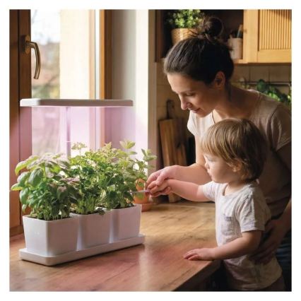 Hämardatav LED-siseruumide taimede kasvulamp GROW LED/7W/5V