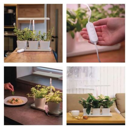 Hämardatav LED-siseruumide taimede kasvulamp GROW LED/7W/5V