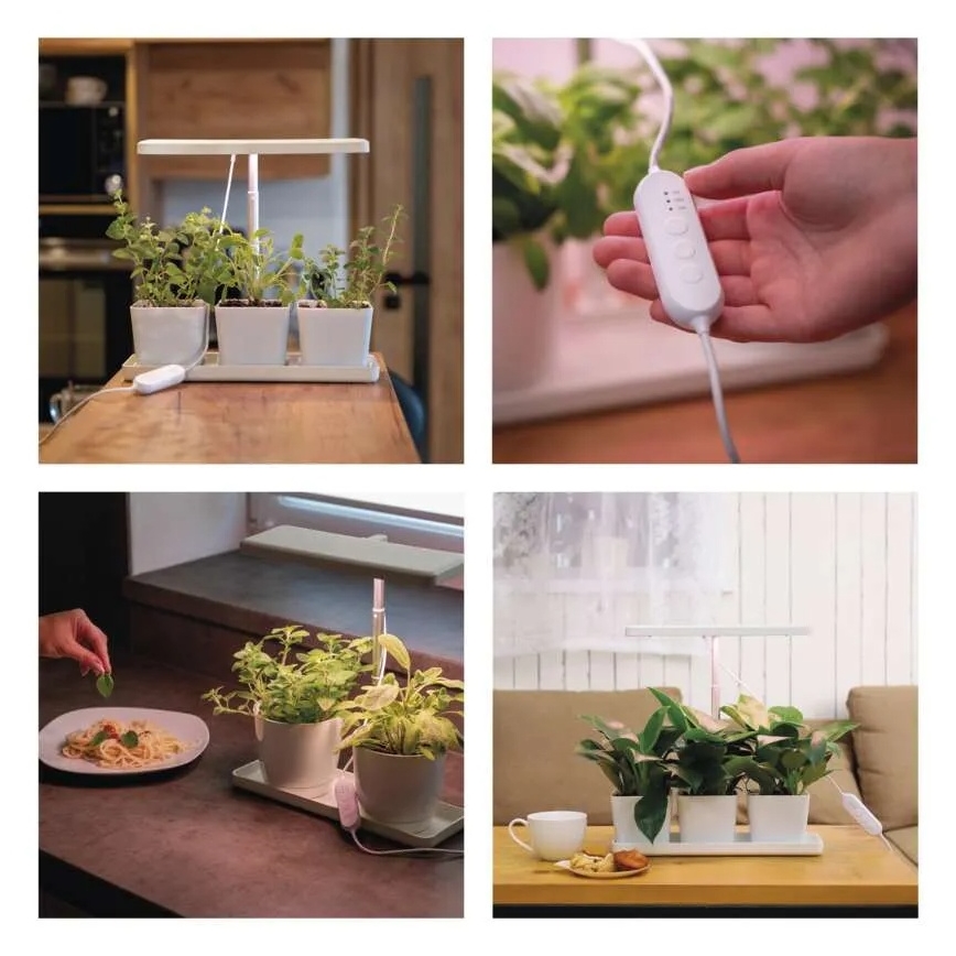 Hämardatav LED-siseruumide taimede kasvulamp GROW LED/7W/5V