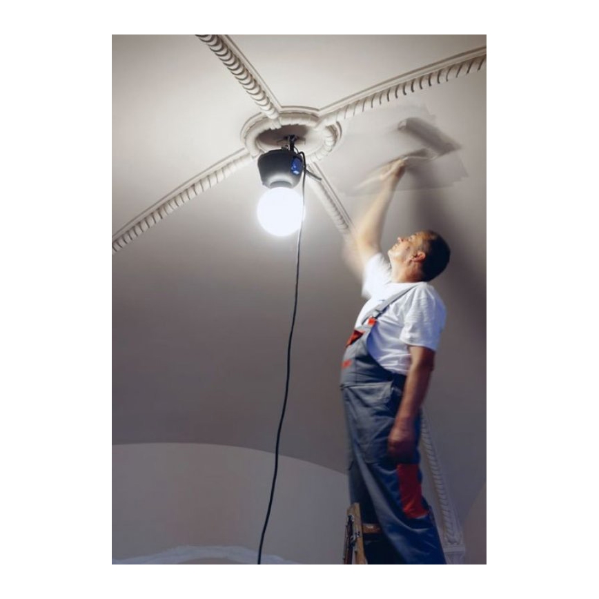 Helios 306-WLG223 - LED välisvalgusti WORK GLOBE 2 LED/23W/230V IP44