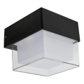HÖFFTECH - LED välisseinavalgusti LED/4W/230V IP65