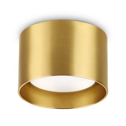 Ideal Lux - LED Kohtvalgusti SPIKE 1xGX53/9W/230V kuldne