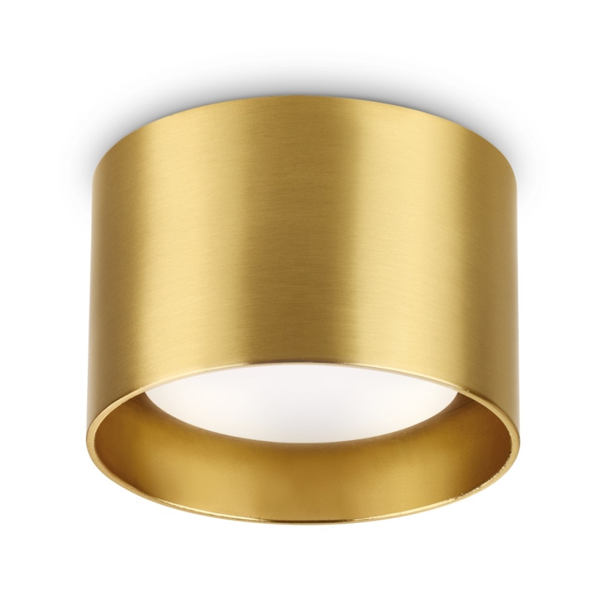 Ideal Lux - LED Kohtvalgusti SPIKE 1xGX53/9W/230V kuldne