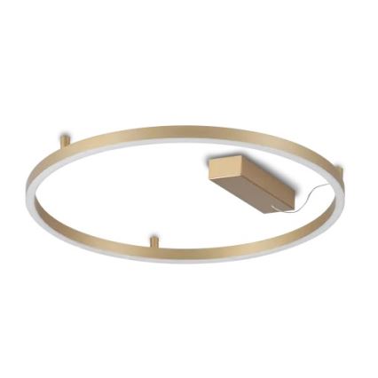 Ideal Lux - LED laevalgusti ORACLE SLIM LED/29W/230V 3000K CRI 90 läbimõõt 50 cm kuldne