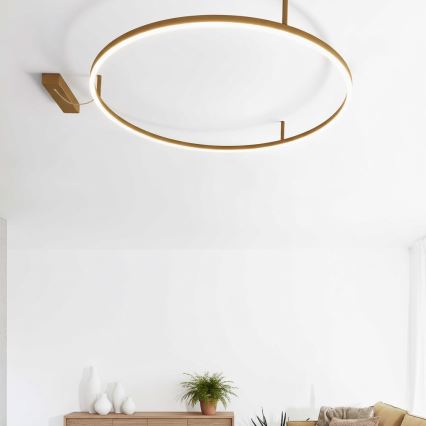 Ideal Lux - LED laevalgusti ORACLE SLIM LED/53W/230V 3000K CRI 90, läbimõõt 90 cm, kuldne